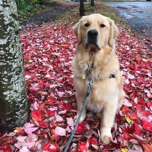 Meet your Posher, Brian